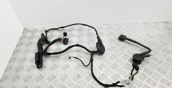 Rear door wiring loom