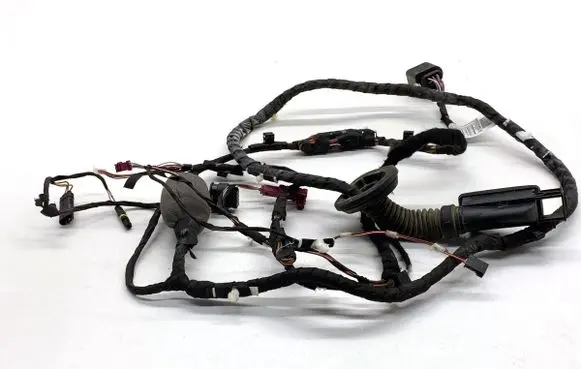 BMW 5 G30 G31 G38 Rear door wiring loom 9841292