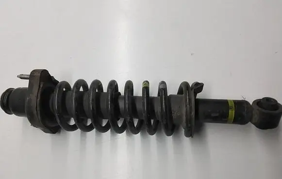 Mitsubishi Outlander Rear shock absorber/damper 4162A411