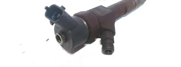 Renault Megane II Fuel injector