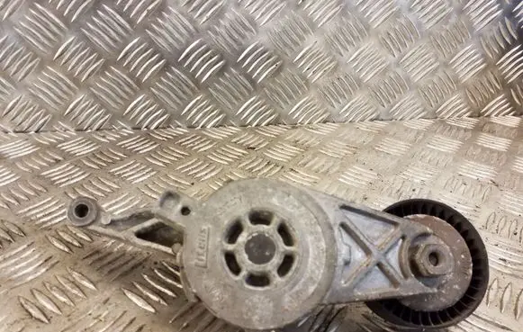 Skoda Octavia Mk2 (1Z) Generator/alternator belt tensioner 950371