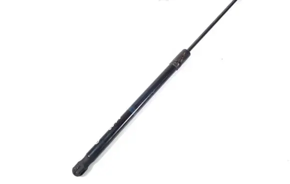 Tailgate strut