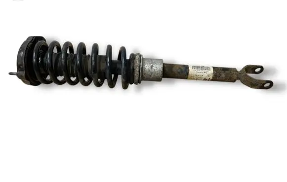 Mercedes-Benz CLS C219 Front shock absorber/damper A2193201413 801404000693 70002T0819937