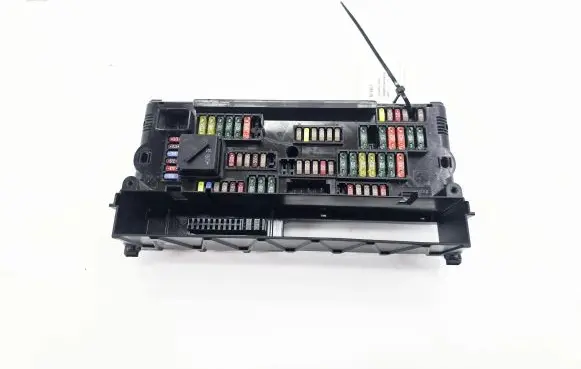 BMW 5 F10 F11 Fuse module 9234421 923442101