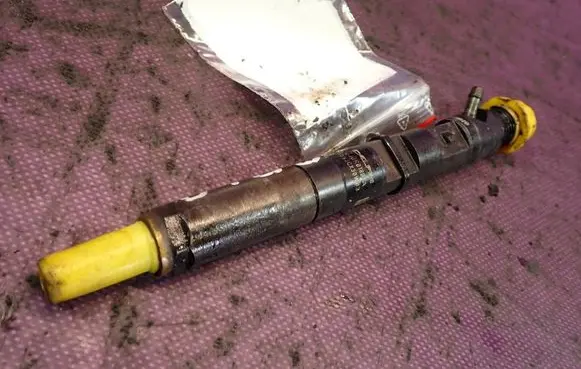 Renault Megane II Fuel injector