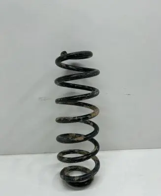 Volkswagen PASSAT B6 Rear coil spring
