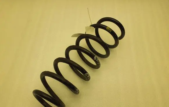 Nissan Qashqai Rear coil spring