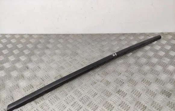 Rear door glass trim molding