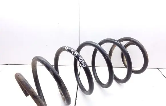 Front coil spring