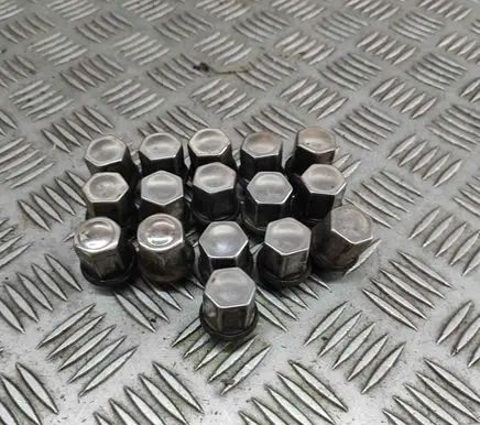 Land Rover Range Rover Evoque L538 Nuts/bolts DJ321012AA