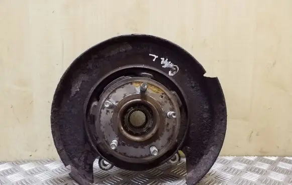 Opel Antara Rear wheel hub CK21000400L
