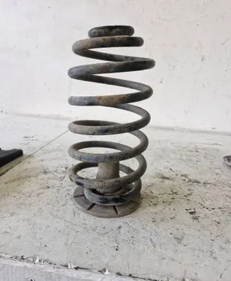 Rear coil spring