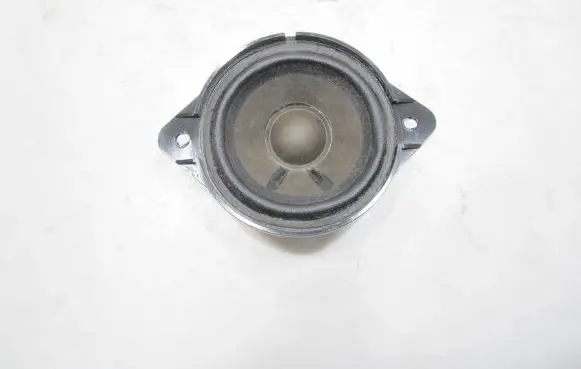 Panel speaker