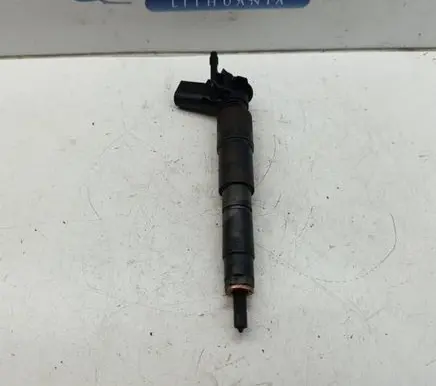 BMW X5 E70 Fuel injector 7808089
