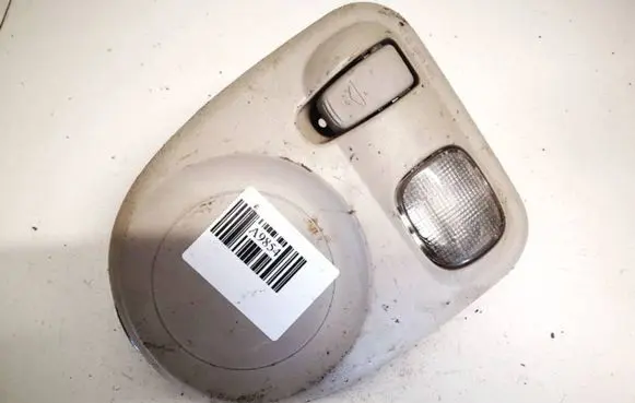 Chrysler Grand Voyager IV Rear seat light 1108739 828462