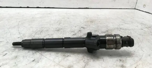 Nissan Pathfinder R51 Fuel injector 16600EB30E 10R00751