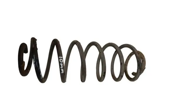 Rear coil spring