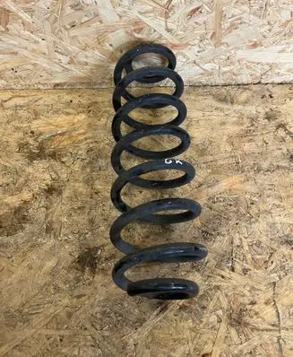 Rear coil spring
