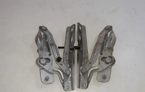 Ford C-MAX II Engine bonnet/hood hinges AM51R16800AE