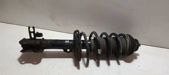 Opel Meriva B Front shock absorber with coil spring 22250036 13268958 368135153