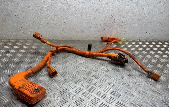 Hyundai Tucson IV NX4 Other wiring loom 91674CZ110