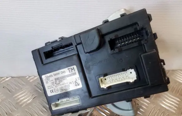 Nissan Juke I F15 Other control units/modules 116RAI000258 116RI000259