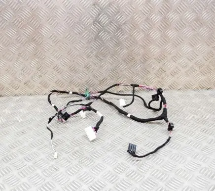 Tesla Model 3 Other wiring loom CDX02087 812144970