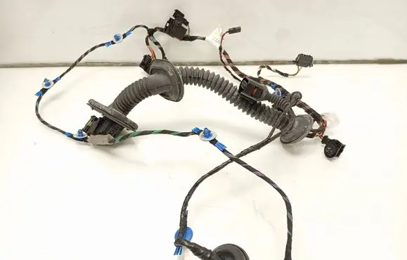 Volkswagen Touareg I Front door wiring loom 7L6971120F