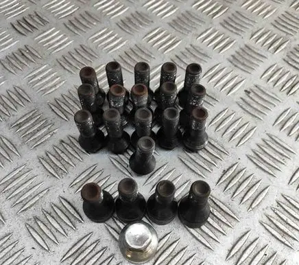 BMW X2 F39 Nuts/bolts 6890324 2453961