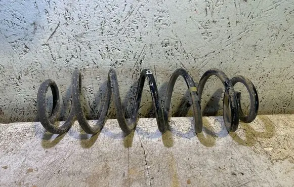 Rear coil spring