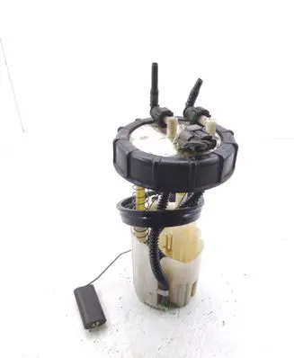 Nissan Qashqai+2 In-tank fuel pump