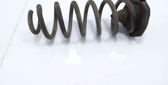 Nissan Qashqai Rear coil spring