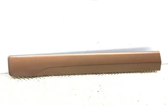 Ford Ecosport Front door trim (molding) HN15N20849A