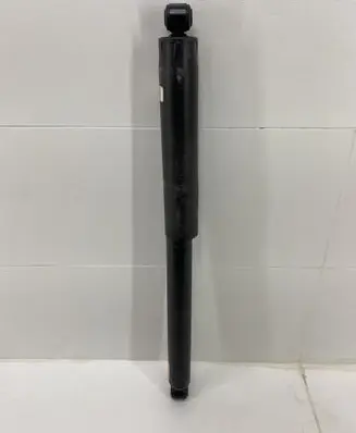 Ford F150 Rear shock absorber/damper FL3418089FD