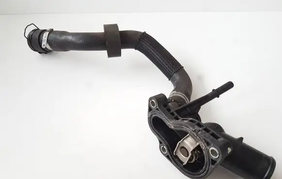 Thermostat/thermostat housing