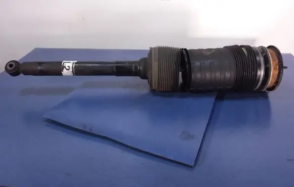 Rear shock absorber/damper