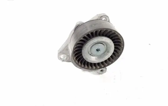 Mercedes-Benz E C207 W207 Timing belt/chain tensioner A2722000070