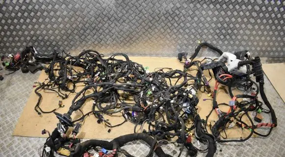Porsche Cayenne (9Y0 9Y3) Wiring harness 