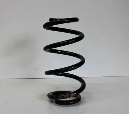 Front coil spring