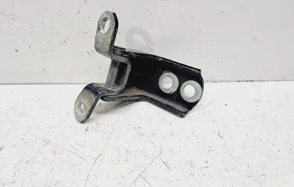 Renault Koleos II Rear door lower hinge 824205HA0A