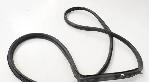 BMW 2 F22 F23 Rubber seal front door (on door) 7267912
