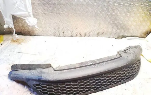 Front bumper lip