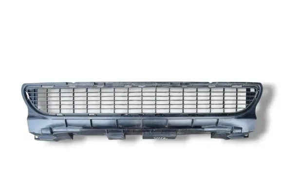 Mercedes-Benz A W169 Front bumper lower grill A1698850023