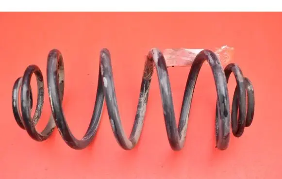 Rear coil spring