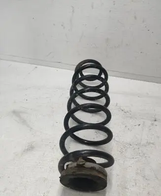 Rear coil spring
