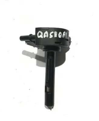 Nissan Qashqai Fuel filter heater F30010000