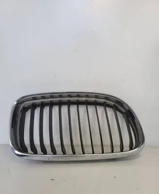 BMW 3 E90 E91 Front grill 7201968