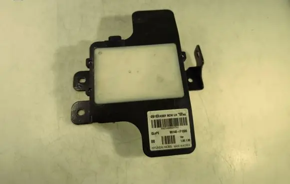 Blind spot module