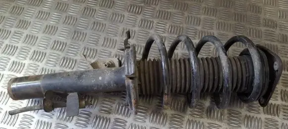 Front coil spring