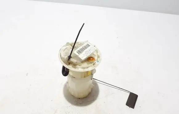 Renault Kangoo II In-tank fuel pump 8200689199
